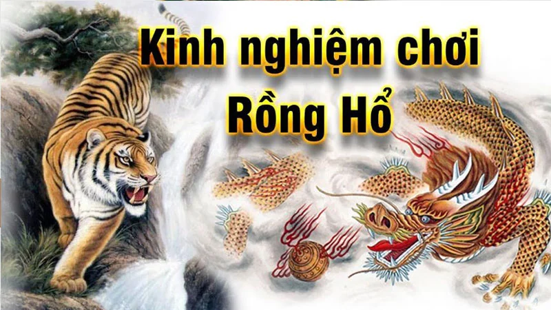 Mẹo chơi rồng hổ giúp anh em thắng lớn